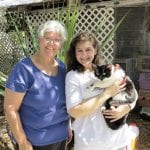 article image -